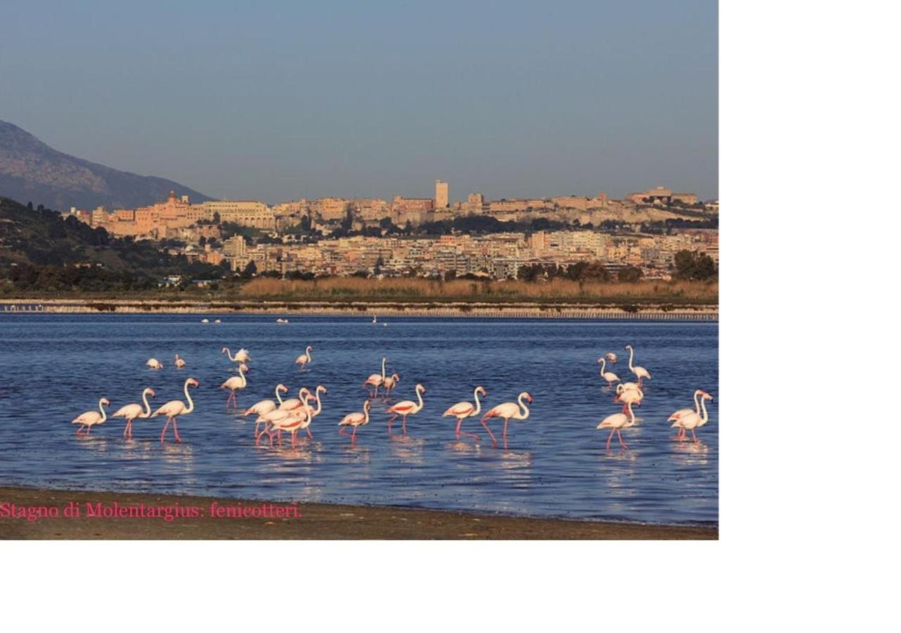 Sardinia Holidays - Domus Patrizia Quartu SantʼElena Екстериор снимка